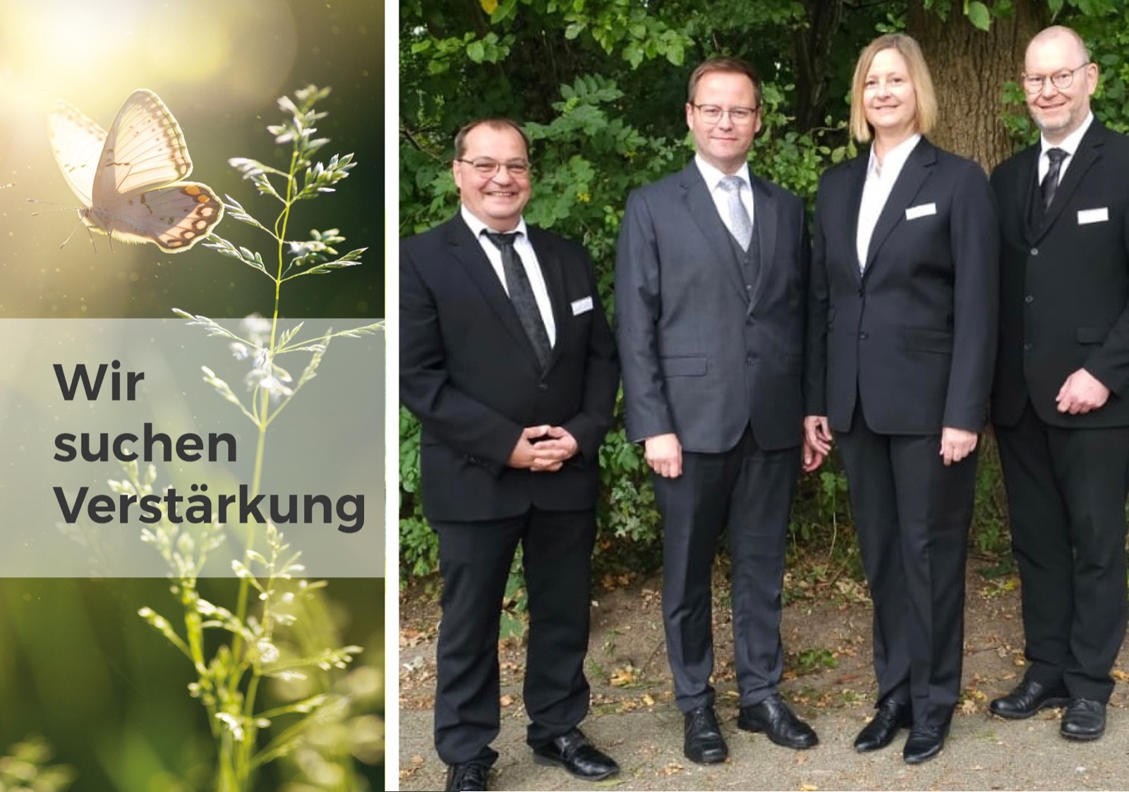 stellenanzeige banner